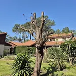Lägenhet A Deux Pas Du Courant Mimizan-Plage