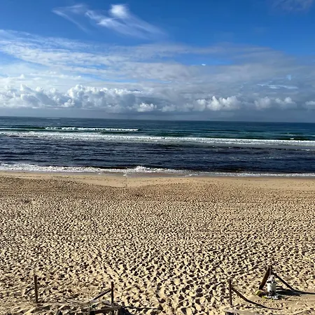 Apartment A Deux Pas Du Courant Mimizan Plage