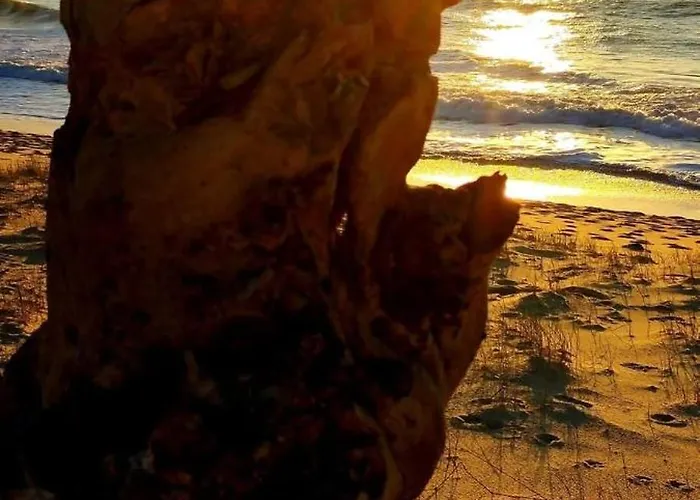 アパート A Deux Pas Du Courant ミミザン・プラージュ