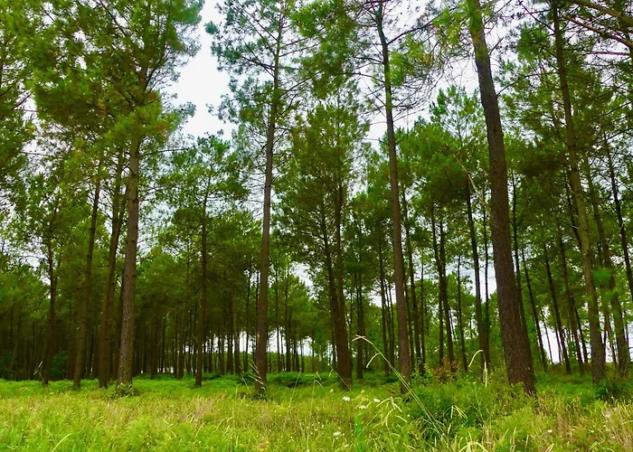 アパート A Deux Pas Du Courant