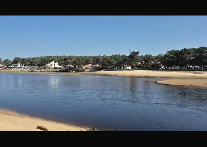Apartmán A Deux Pas Du Courant Mimizan-Plage