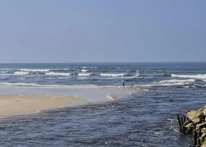 Apartmán A Deux Pas Du Courant Mimizan-Plage