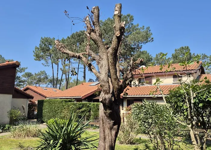 Apartmán A Deux Pas Du Courant Mimizan-Plage